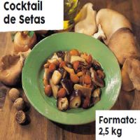 FIT GUARNICION COCKTAIL DE SETAS 2.5Kg.