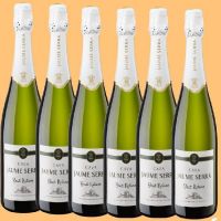 JGC CAVA JAUME SERRA 0.75L. 6p.