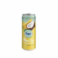 JGC LATA ROSTOY PIÑA COCO 0.33L. 12p.
